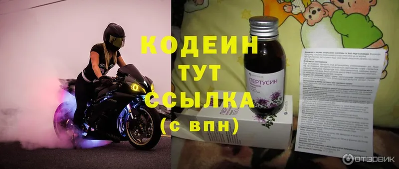 kraken онион  Курлово  Codein Purple Drank  наркотики 